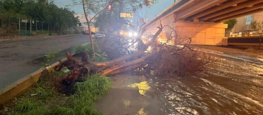 Lluvias golpean Sonora: Ures lidera con 75 mm y Hermosillo concentra la mayoría de las emergencias, informa CEPC