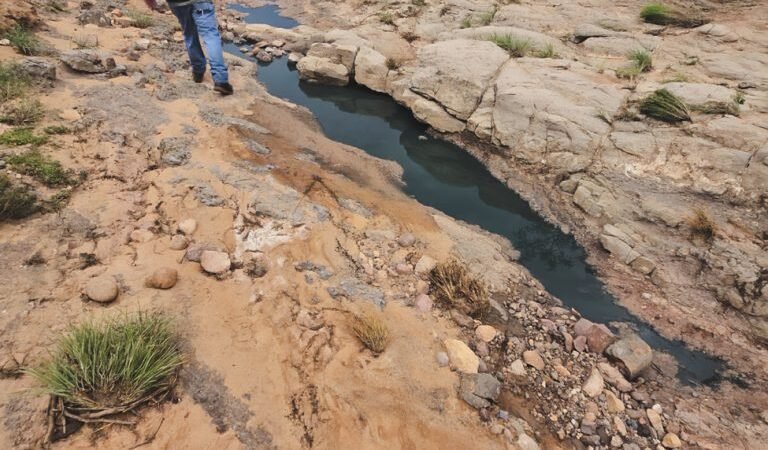 Profepa ordena a Ferromex resolver daño ambiental provocado por derrame en Naco, Sonora Profepa ordena a Ferromex resolver daño ambiental provocado por derrame en Naco, Sonora