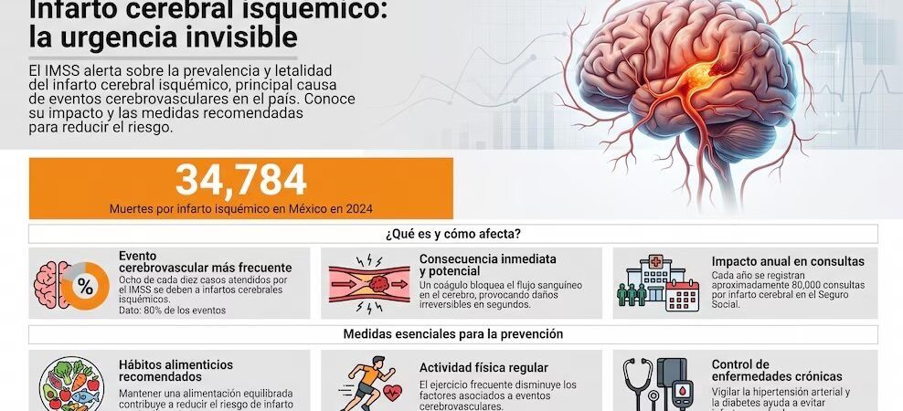 Alerta IMSS por infartos cerebrales: estos tres hábitos pueden reducir el riesgo