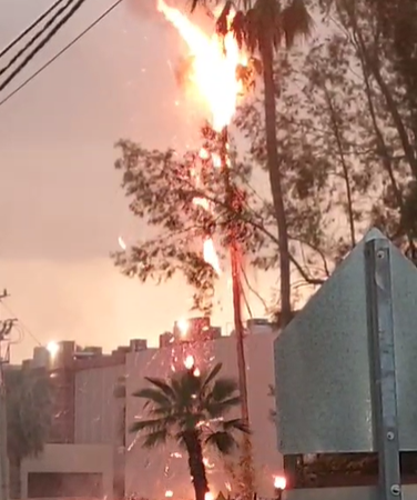 Hermosillo activa operativo por lluvias: atienden caída de árboles, cortocircuitos y vehículos varados Hermosillo activa operativo por lluvias: atienden caída de árboles, cortocircuitos y vehículos varados