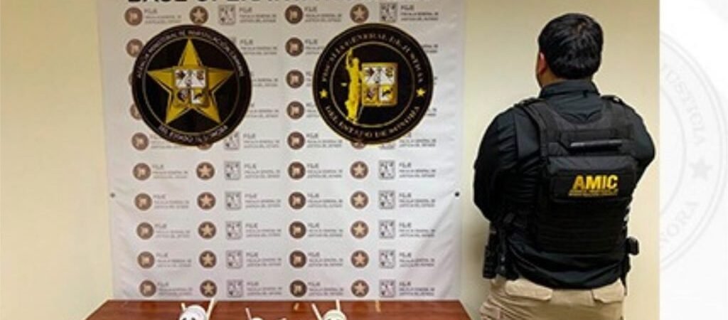 Golpe a la vigilancia del crimen en Nogales: aseguran cámaras ocultas, tragamonedas y equipos de cómputo en operativo conjunto Golpe a la vigilancia del crimen en Nogales: aseguran cámaras ocultas, tragamonedas y equipos de cómputo en operativo conjunto