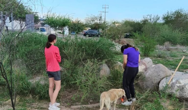 Suman esfuerzos en Hermosillo para crear Jardín Botánico en el Cerro Johnson Suman esfuerzos en Hermosillo para crear Jardín Botánico en el Cerro Johnson