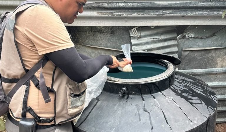 Sonora es primer lugar en casos de dengue y segundo en rickettsia a nivel nacional