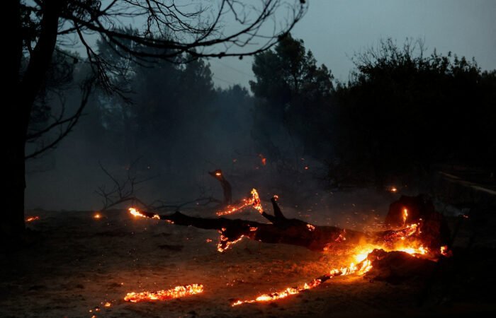 Arrasan incendios en España y Francia más de 120 mil hectáreas; hay 325 mil personas desplazadas Arrasan incendios en España y Francia más de 120 mil hectáreas; hay 325 mil personas desplazadas