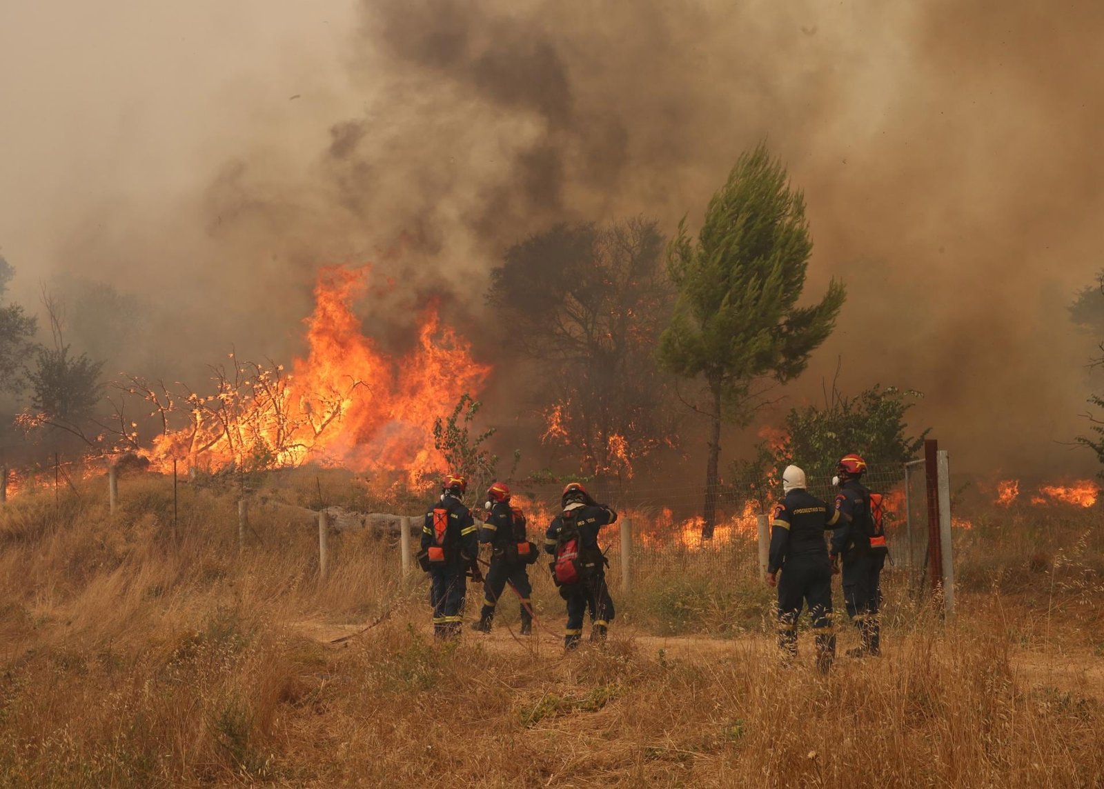 La ola de calor en Europa ha provocado diversos incendios forestales en Grecia. (Foto: EFE)