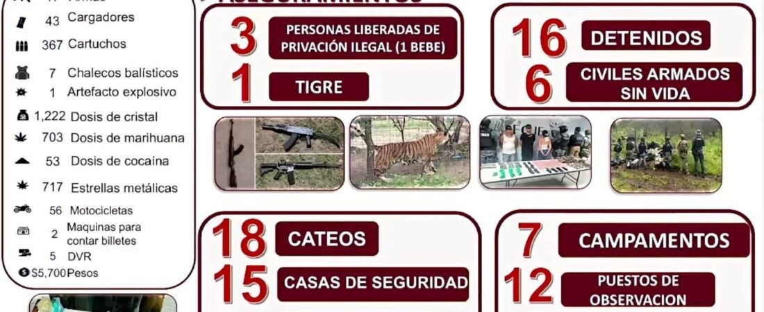 16 detenidos y un tigre de bengala rescatado: El resultado de la Operación Rastrillo en Zacatecas 16 detenidos y un tigre de bengala rescatado: El resultado de la Operación Rastrillo en Zacatecas