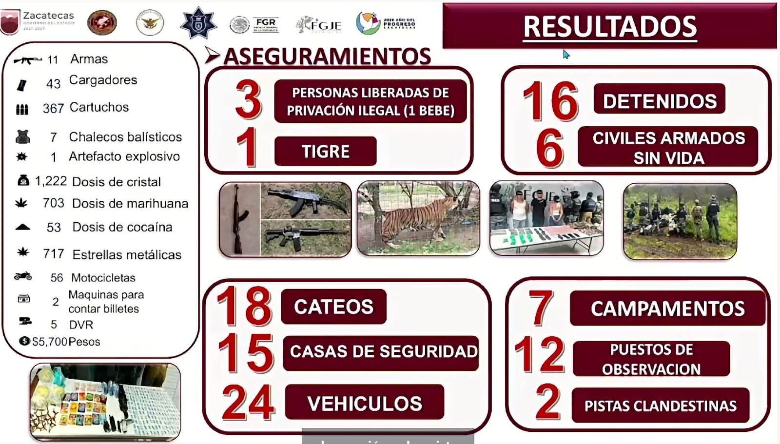 16 detenidos y un tigre de bengala rescatado: El resultado de la Operación Rastrillo en Zacatecas 16 detenidos y un tigre de bengala rescatado: El resultado de la Operación Rastrillo en Zacatecas