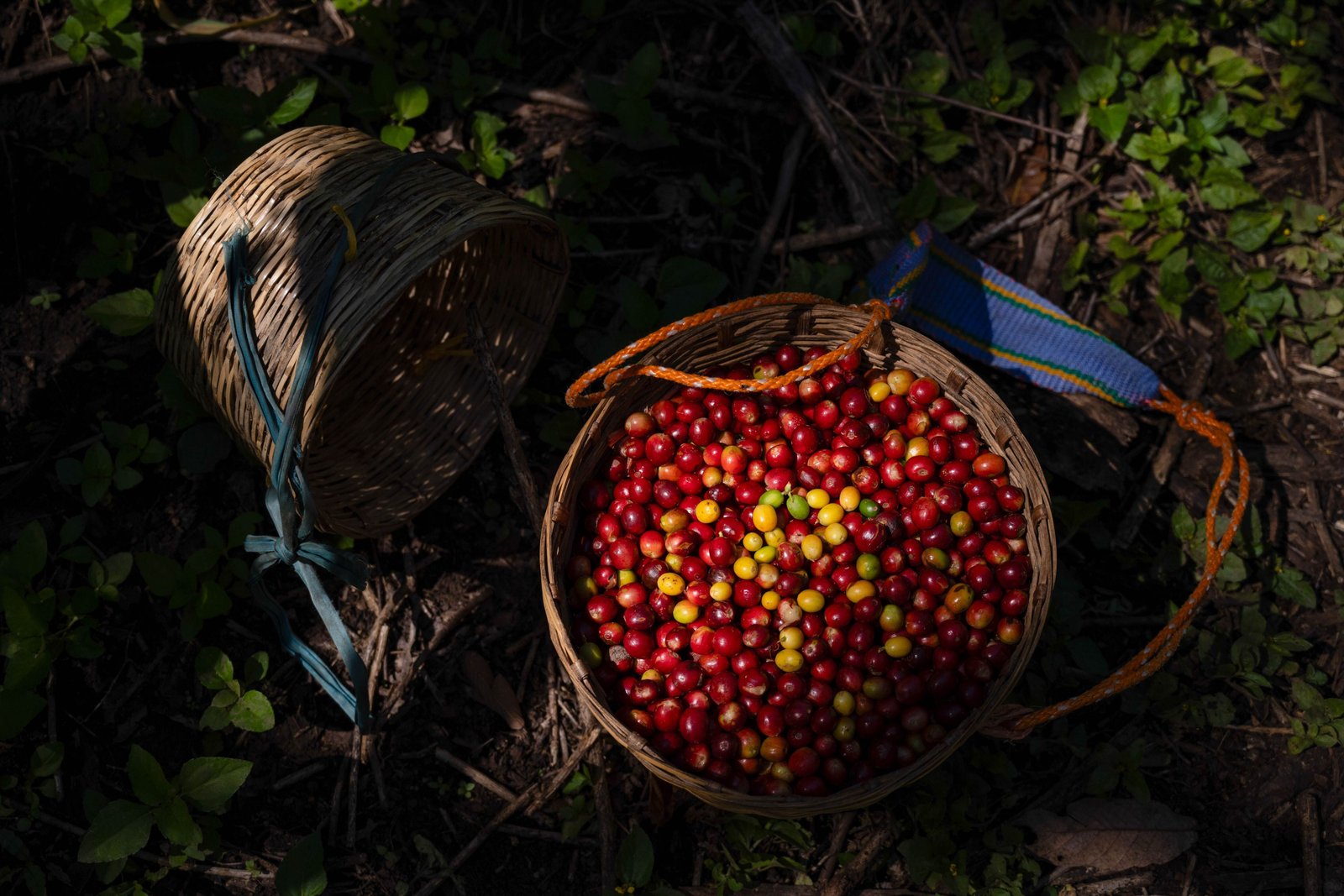 Sabormex adquirió otras más marcas de café para competir en diferentes sectores. [Fotografía. Cuartoscuro]