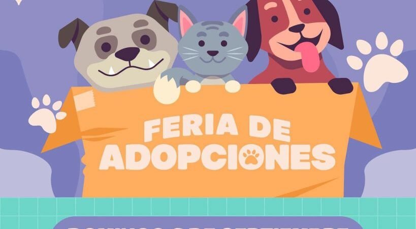 ¿Buscas un nuevo compañero? Habrá feria de adopciones este domingo en Hermosillo ¿Buscas un nuevo compañero? Habrá feria de adopciones este domingo en Hermosillo
