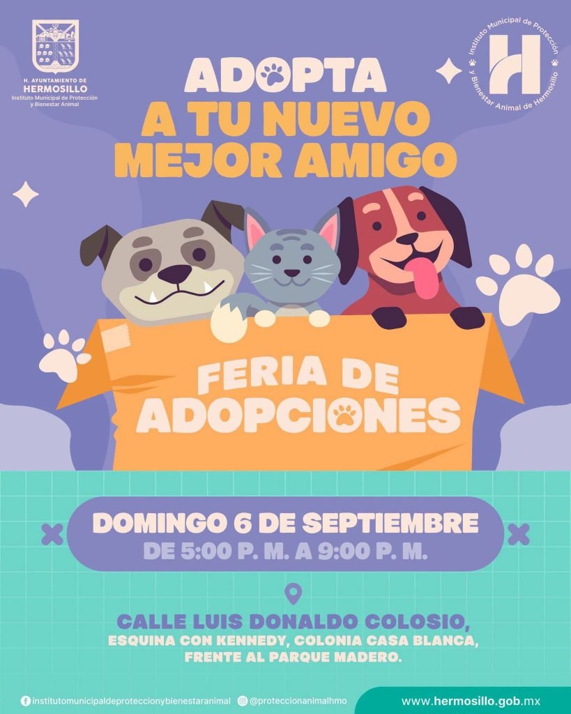 ¿Buscas un nuevo compañero? Habrá feria de adopciones este domingo en Hermosillo ¿Buscas un nuevo compañero? Habrá feria de adopciones este domingo en Hermosillo