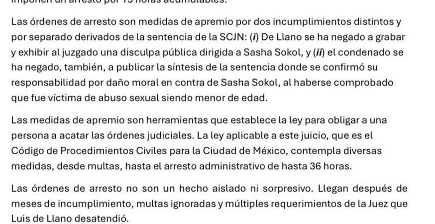 Detienen a Luis de Llano por caso con Sasha Sokol: Autoridades lo acusan de incumplir la sentencia Detienen a Luis de Llano por caso con Sasha Sokol: Autoridades lo acusan de incumplir la sentencia