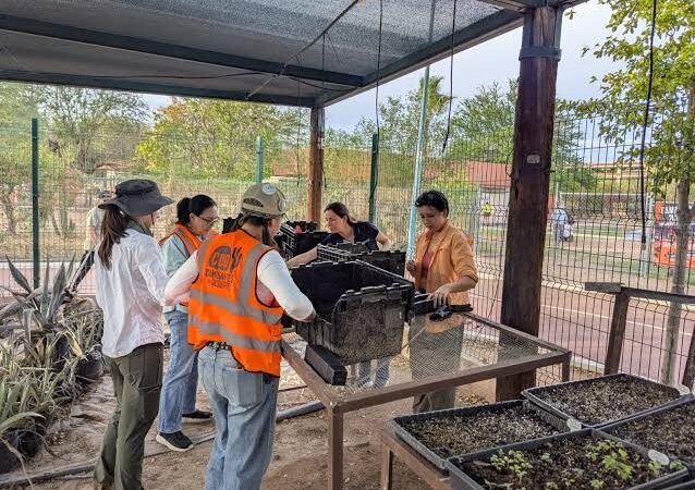 Para combatir calor en Hermosillo, activistas crean “GermiNativa”, un proyecto para producir y propagar plantas nativas por la ciudad