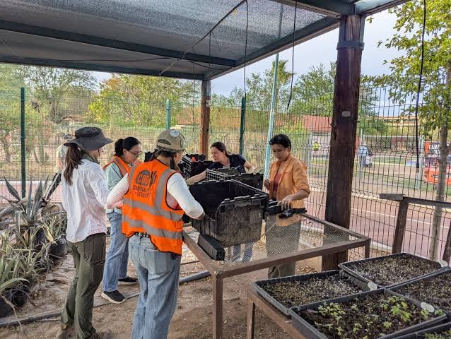 Para combatir calor en Hermosillo, activistas crean “GermiNativa”, un proyecto para producir y propagar plantas nativas por la ciudad