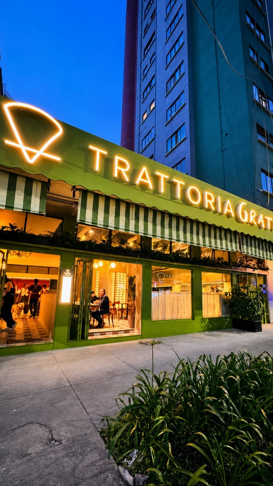 ‘Empezamos en pandemia’: Así nació Trattoria Grata, restaurante italiano que estrena casa en CDMX ‘Empezamos en pandemia’: Así nació Trattoria Grata, restaurante italiano que estrena casa en CDMX