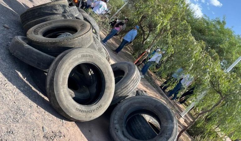 Retira Ayuntamiento más de 930 toneladas de residuos y casi 900 llantas en Hermosillo