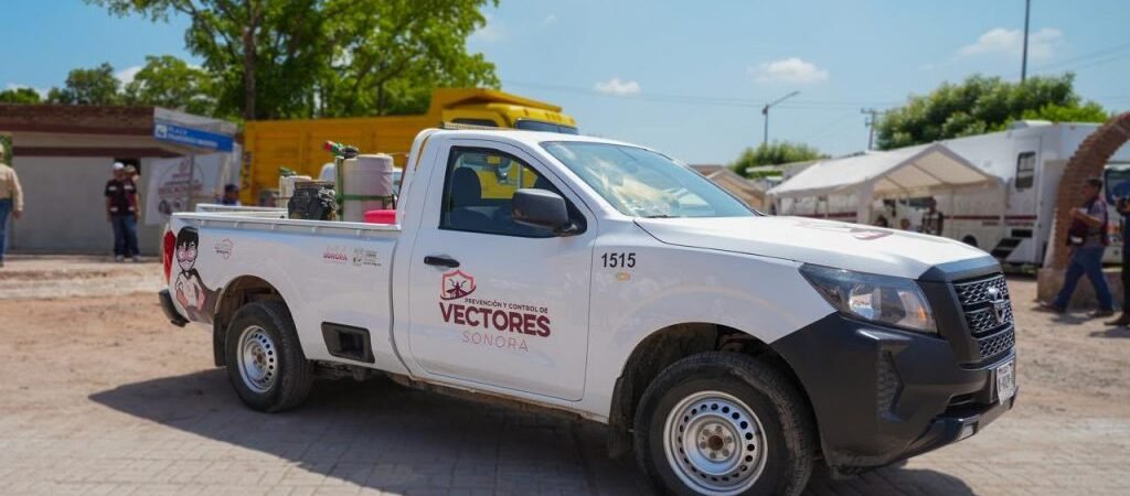 Sonora refuerza combate al dengue: piden a familias eliminar criaderos de mosquitos Sonora refuerza combate al dengue: piden a familias eliminar criaderos de mosquitos