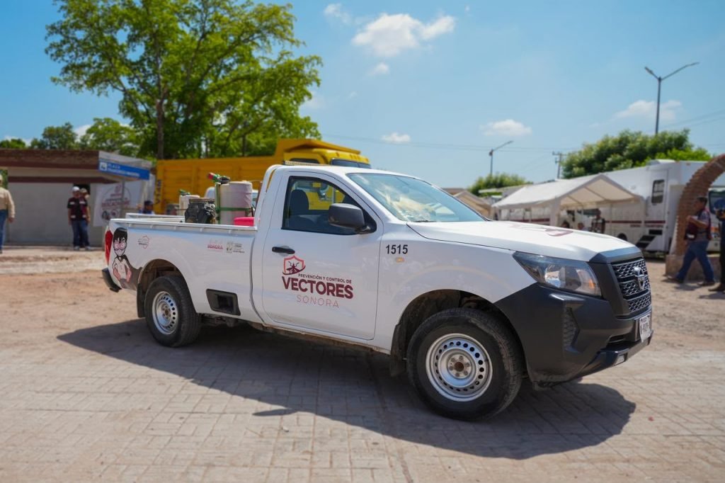 Sonora refuerza combate al dengue: piden a familias eliminar criaderos de mosquitos Sonora refuerza combate al dengue: piden a familias eliminar criaderos de mosquitos